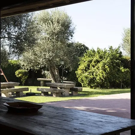 Alojamento de Turismo Rural Casa Da Barcelos